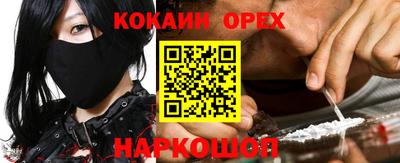 прущие крисы Гатчина