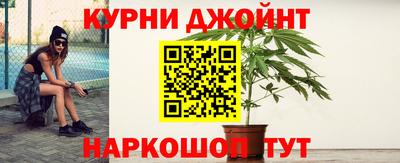 прущие крисы Гатчина