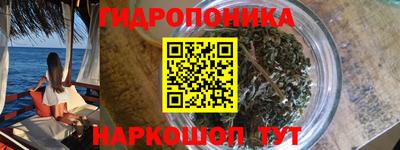 прущие крисы Гатчина