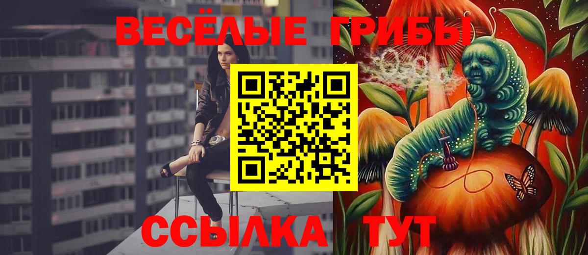 Мытищи  Галлюциногенные грибы мицелий  магазин продажи наркотиков  Вход с VPN 